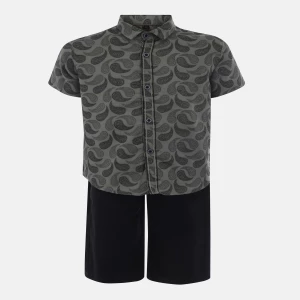 Sage Green Printed Cotton Shirt Pant Set